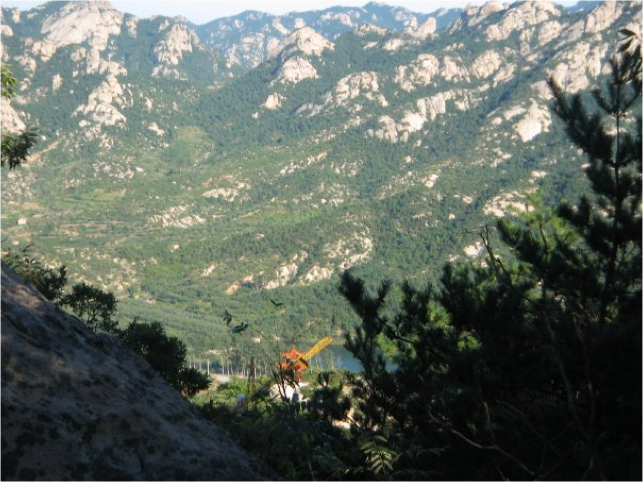 Perspectives on Perfectionism