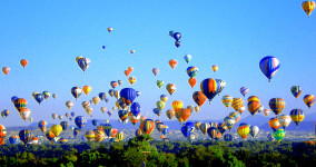 Priorities and Next Steps