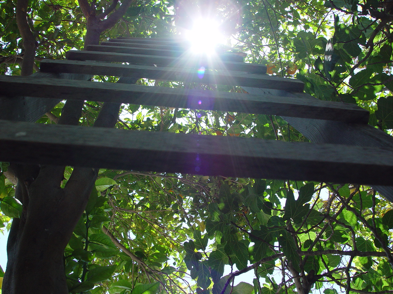 Fighting Incrementalist Tendencies