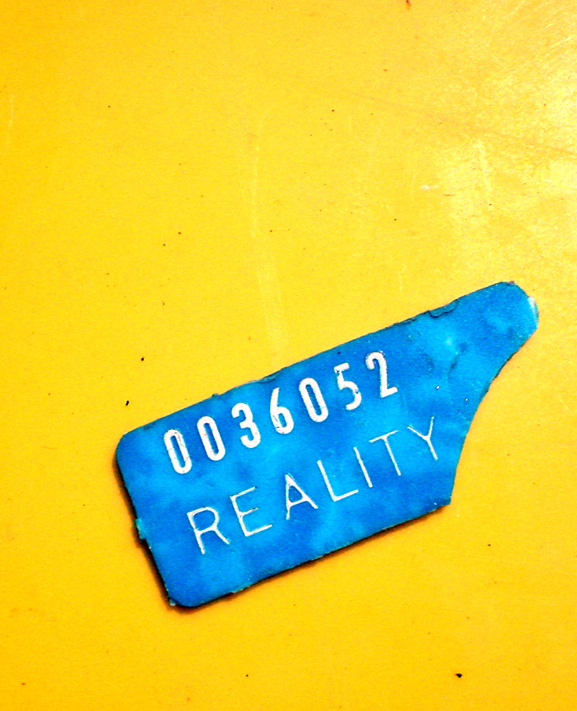 The Reality Stick