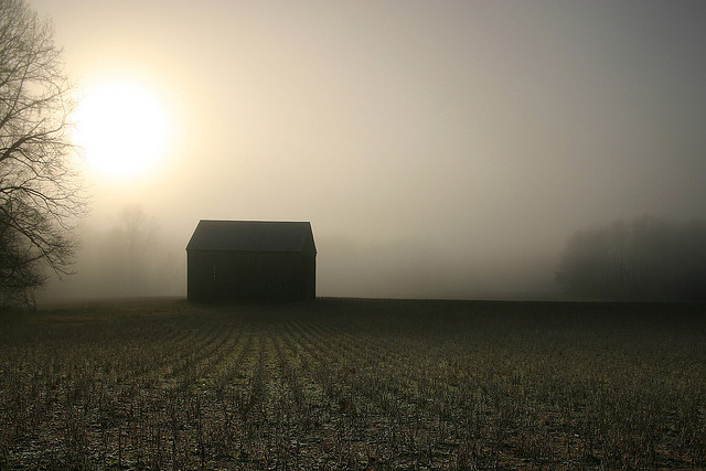 Confronting the Brutal Facts of Reality