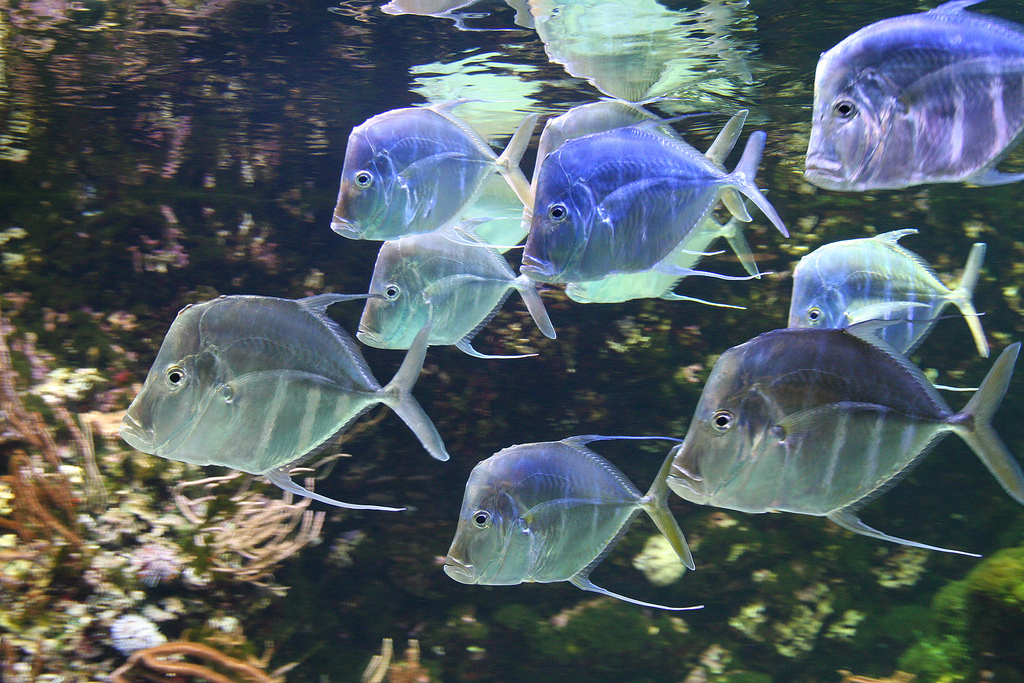 What is Leadership, Anyway?