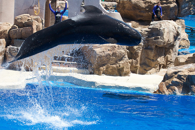 Stepping Down from Awesome Ottawa