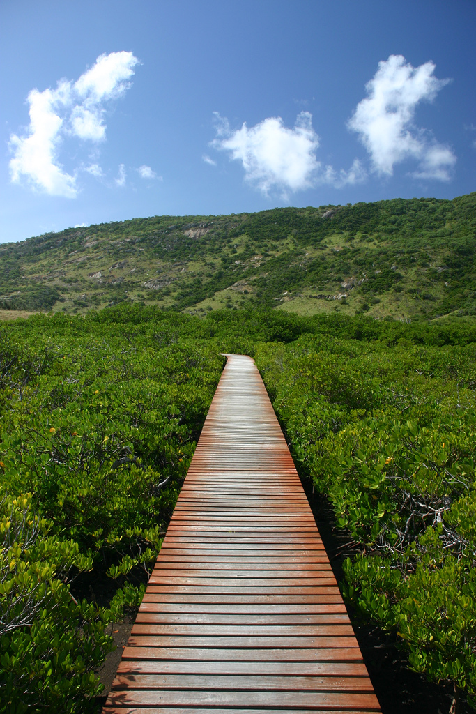 Bagels, Chores, and Compromises