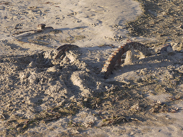 Sunk Costs and Academia