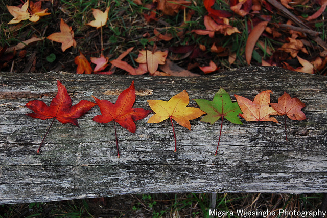 Post-Grad Rehab: July/August