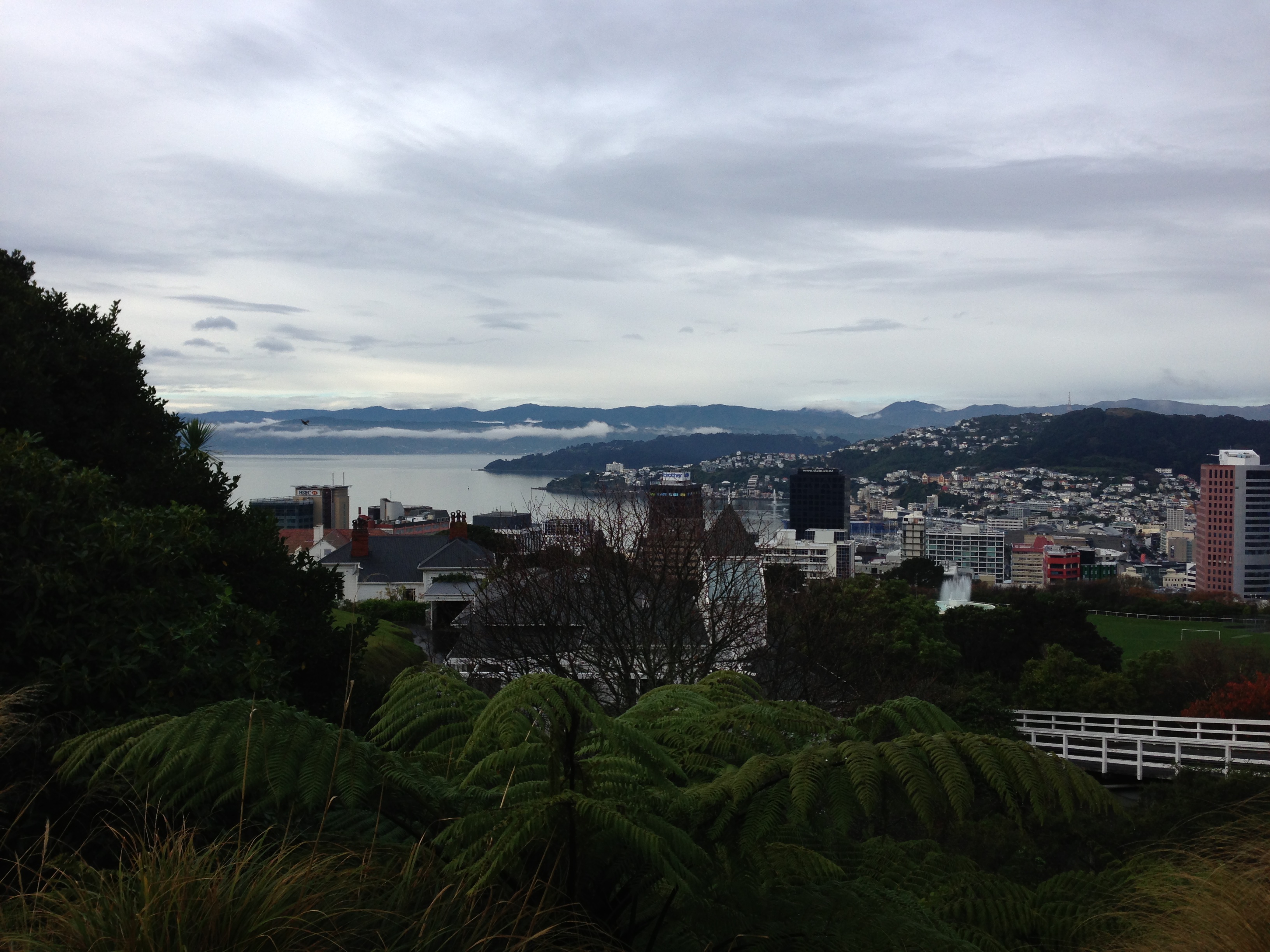 Wellington, May/June 2013
