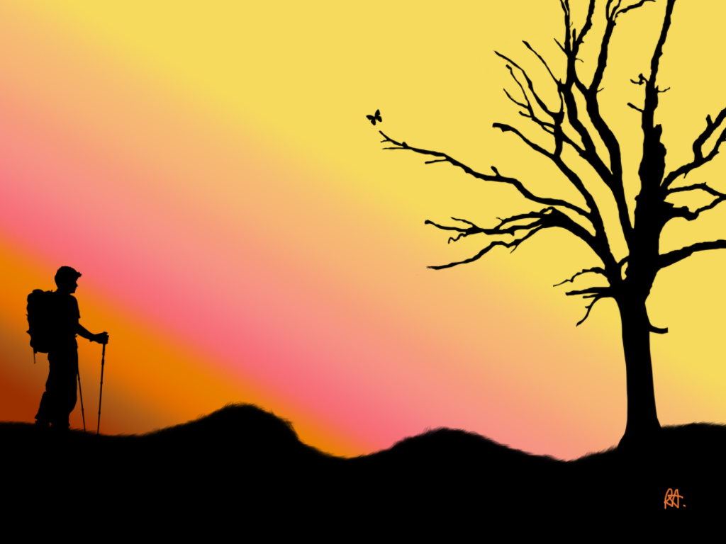 Why I Hate Budget Airlines