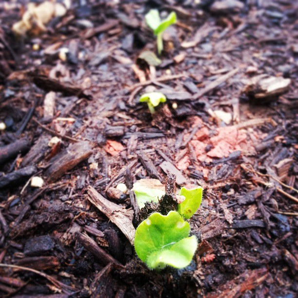 GHC13 – What Are You Going to Do Differently?