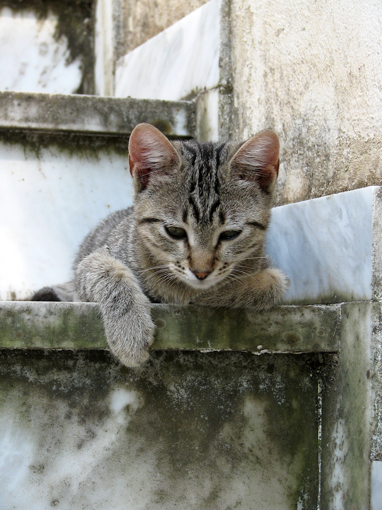 The Difference Between “Relaxing” and “Being Relaxed”