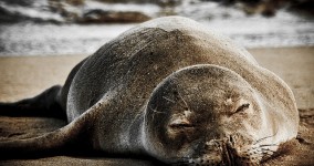 Strategies for Coping With Jetlag