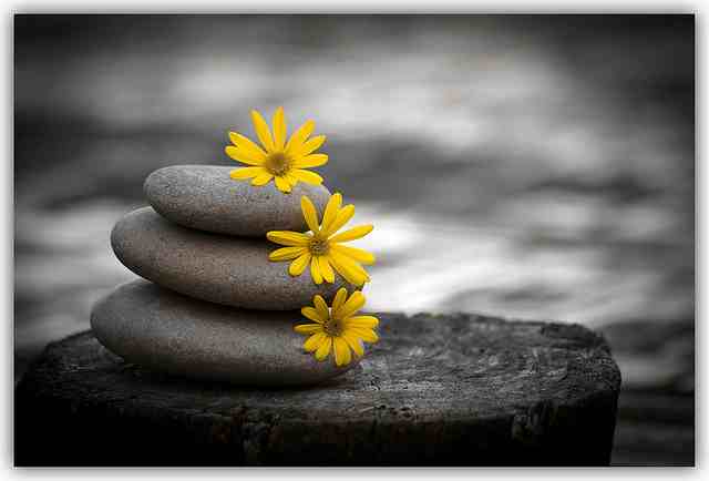 3 Things I Learned on my Burnout Break