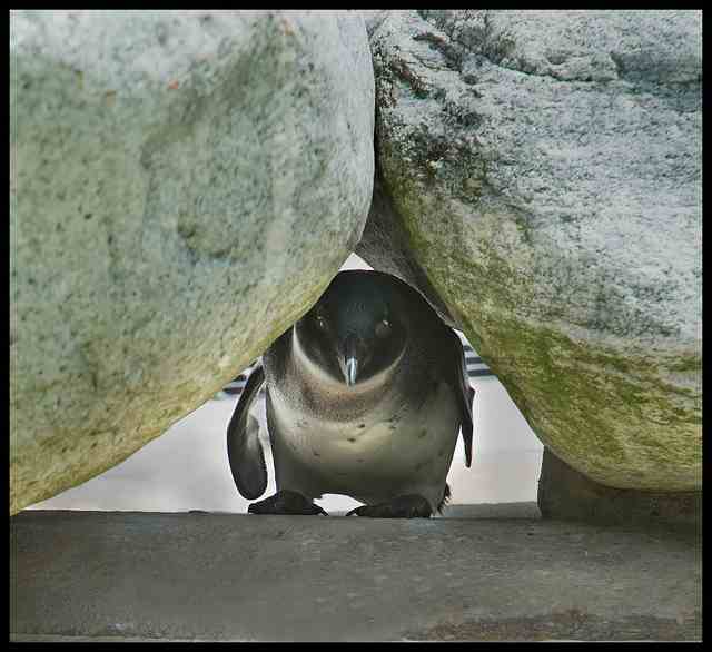 Experiment: No Novel November