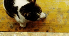 6 Things I Look For When Considering Projects and Teams