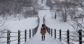 The Second Hardest Thing About Moving