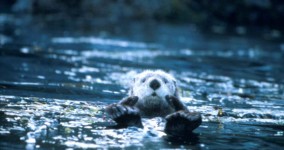 7 Reasons To Work From The Gym