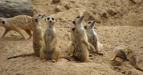 It’s Not That Big a Deal