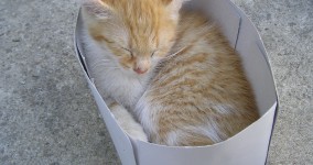 #iOSDevUK – Martin Pilkington: Thinking in NSLayoutContraints