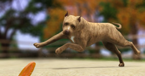 NSConf: Scott Little – Ultimate Spirit