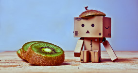 Tuning Forks in Human Form