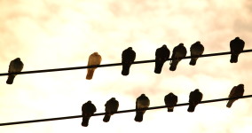 Pitfalls for Men Talking About Diversity