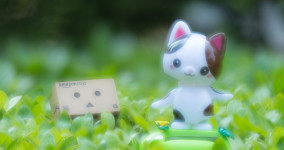 New Manager Resources