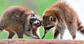 Bad Interviews are a Company Problem, not a Candidate Problem