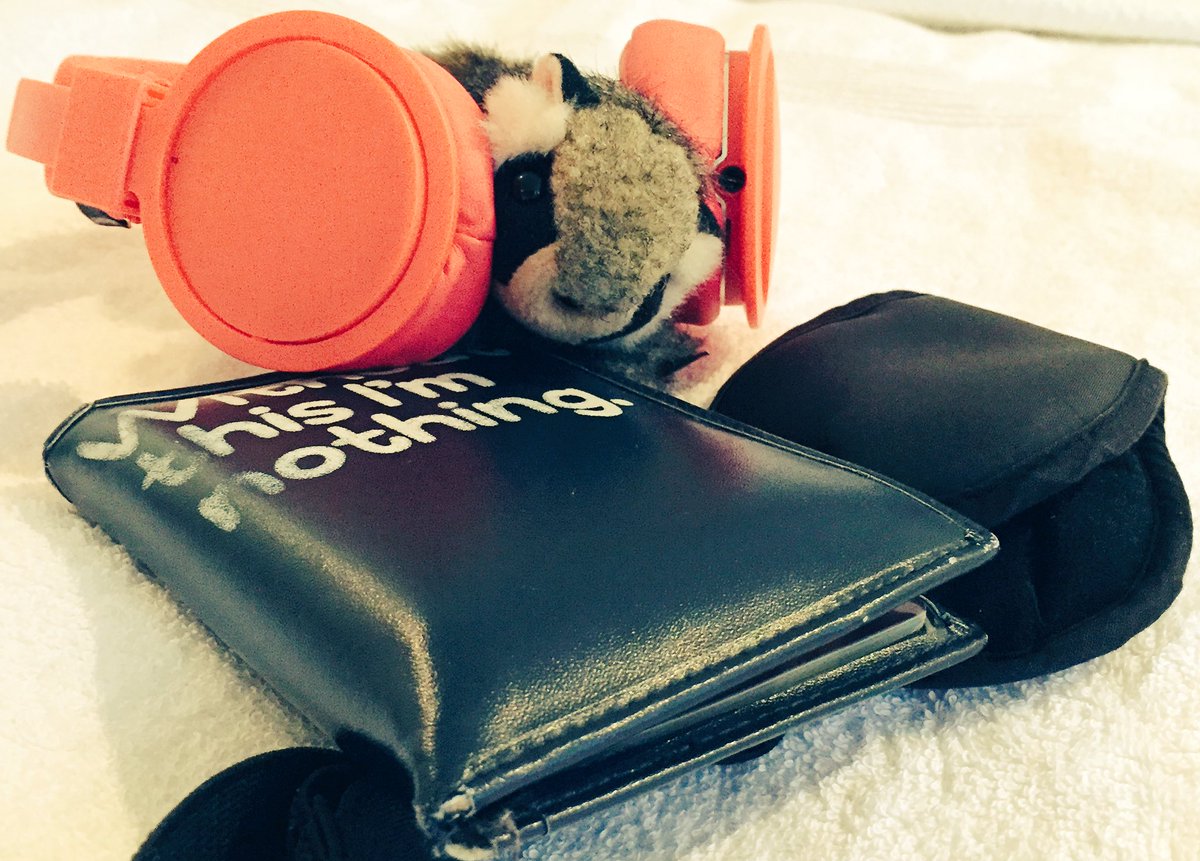 tiny_raccoon_passport.jpg