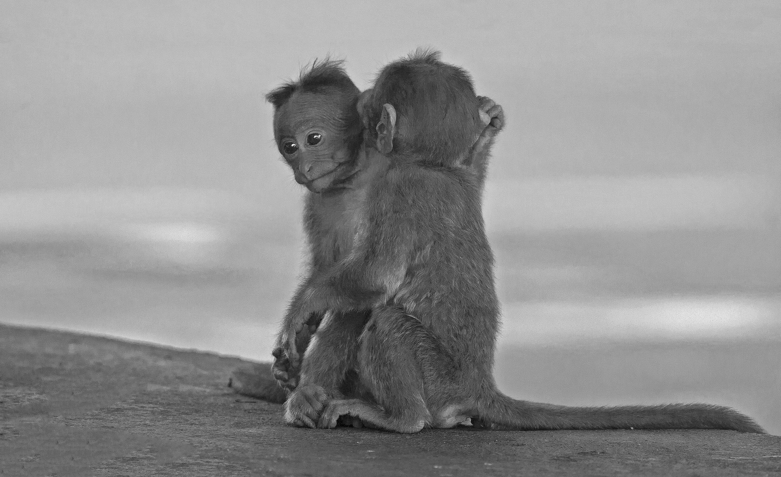 But Unfortunately, As You Know, People