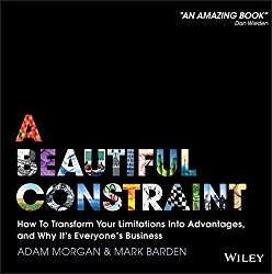 Book: A Beautiful Constraint