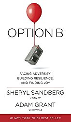 Book: Option B