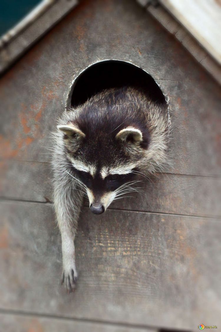 Whose Expectations are Those, Anyway?