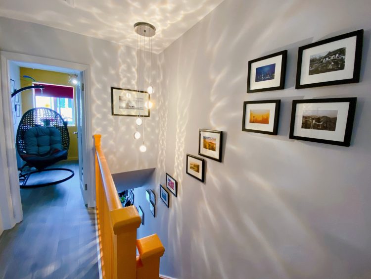 The Great DomestiCation