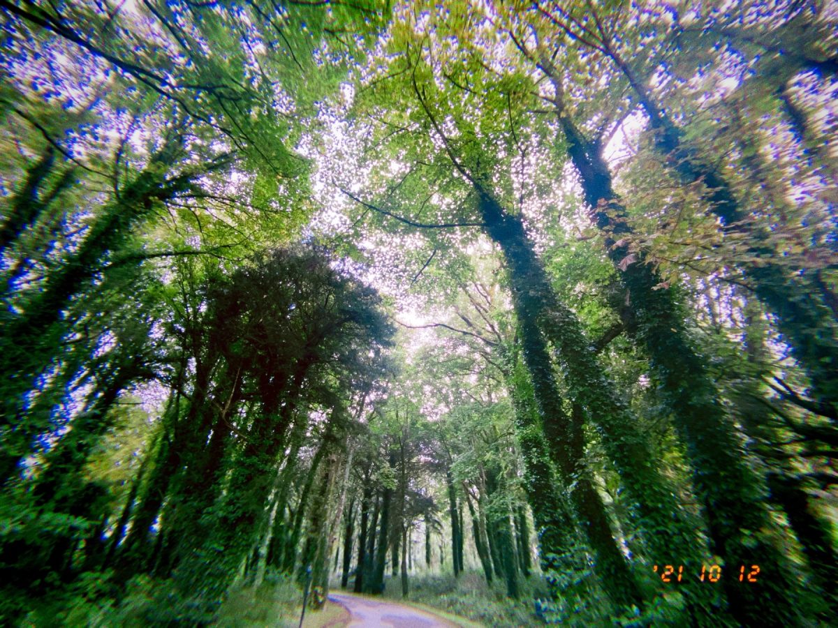 The Habit of Ease and Flow