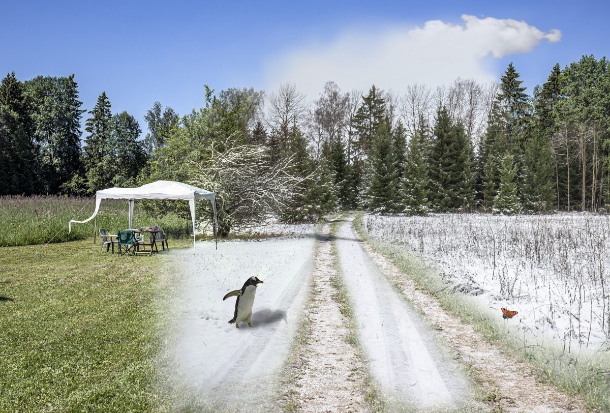 Your Action Plan to DRI Your Career