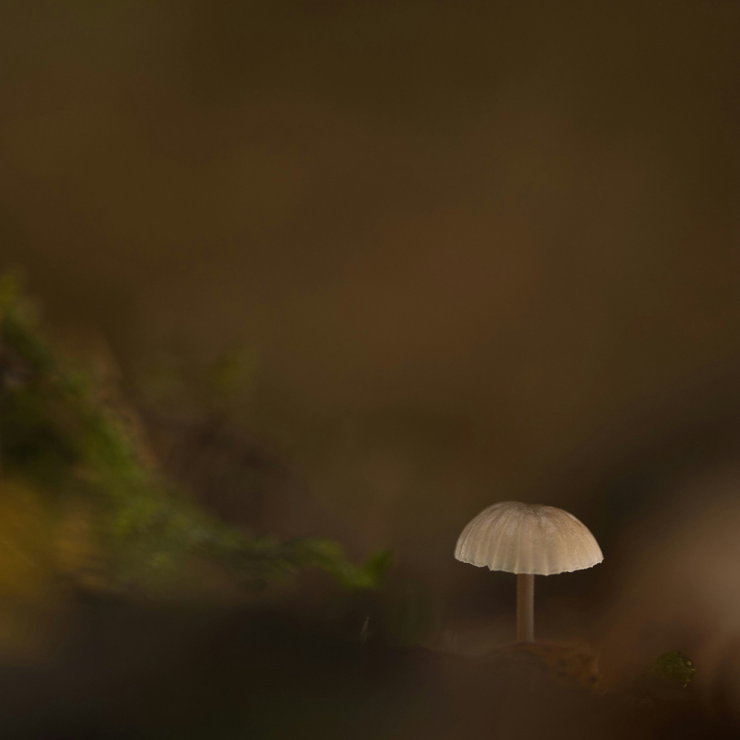 Spring Cleaning in December