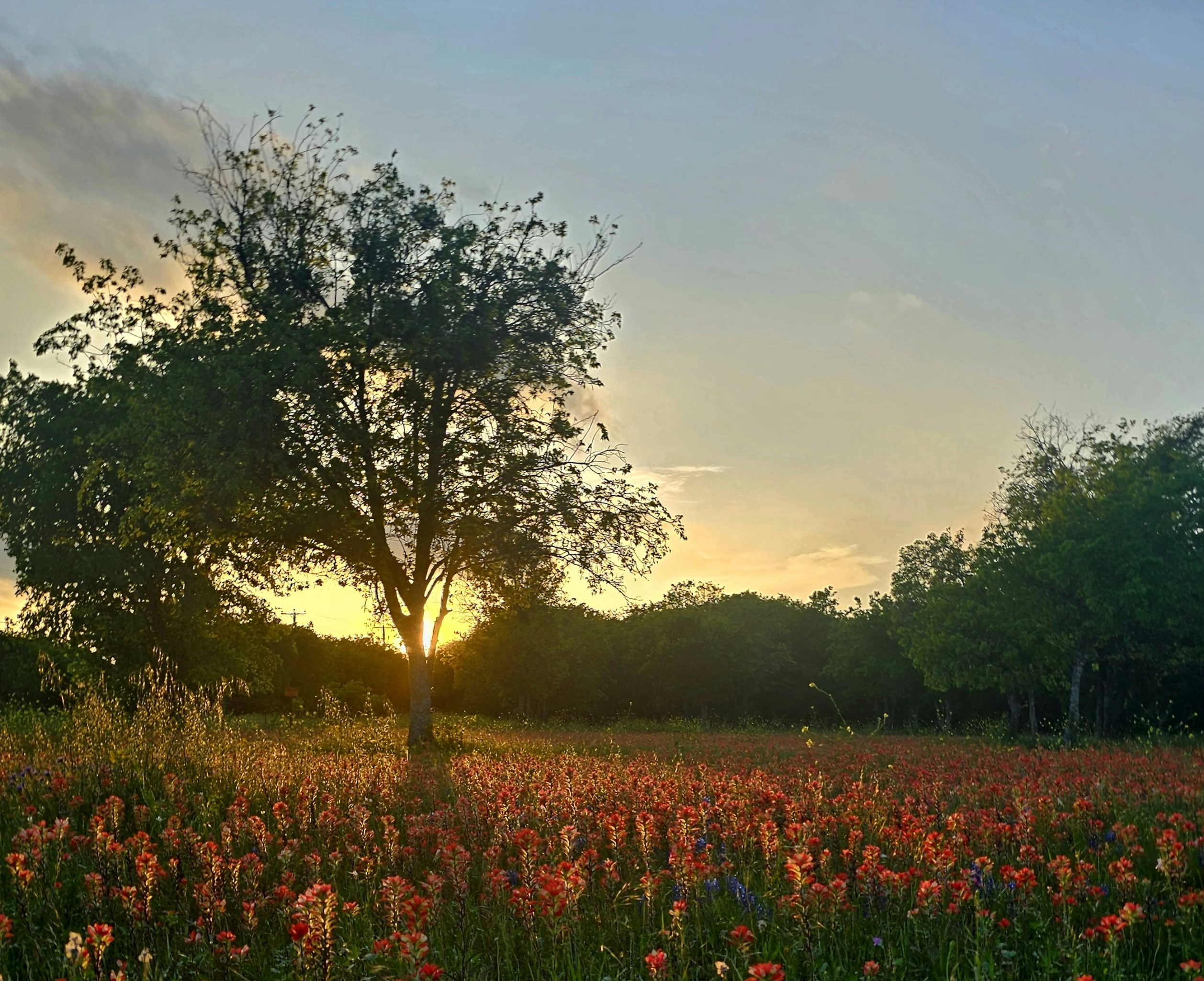 A Season of Learning